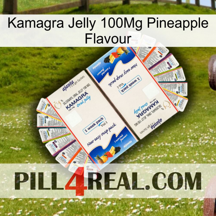 Kamagra Jelly 100Mg Pineapple Flavour kamagra1